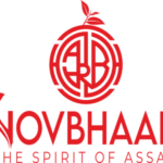 NOVBAAR LOGO