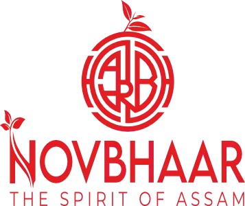 NOVBAAR LOGO